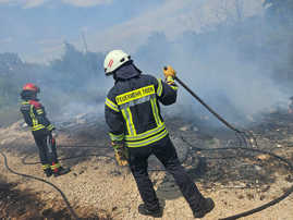 Ein kroatischer und ein Trierer Feuerwehrmann sind von hinten zu sehen, als sie einen kleinen Vegetationsbrand betrachten.