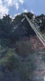 Das Bild zeigt die Drehleiter der Feuerwehr, die in den Wald oberhalb der Bitburger Straße löscht. Dort ist noch Rauch zu sehen.