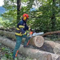 Ein Feuerwehrmann sägt mit einer Motorsäge Baumstämme im Wald.